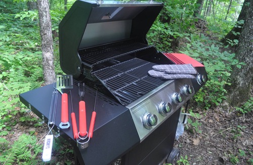 Strong Cabin | Brand New Dream Den Bunkie for Two with Canoe, River Access, and Scenic Trailsn