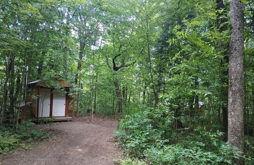 Strong Cabin | Brand New Dream Den Bunkie for Two with Canoe, River Access, and Scenic Trailsn