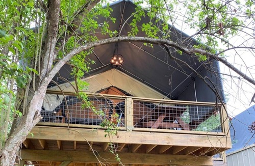 Seguin Cabin | Brand new waterfront Cabin with many amenities: Pool, hot tub & kayaking. - SG5