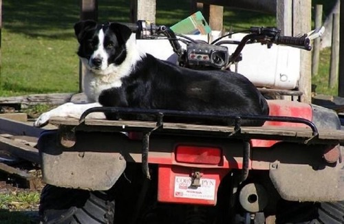 Waitpinga Other | Breakaway Farmstay Victor Harbor