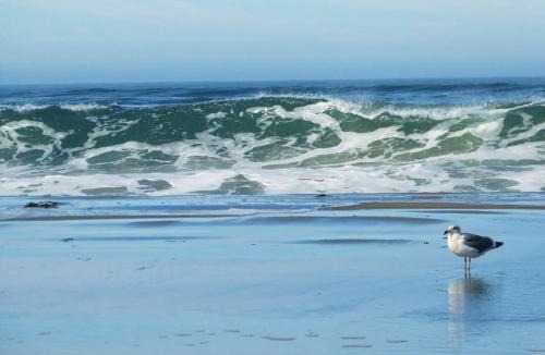 Dillon Beach House | Breaking Waves! On the Bluff! AMAZING VIEWS! BBQ! Fast WiFi! Walk to Beach!