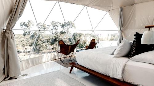 Fischer House | Breathtaking Dome with Spectacular Outdoor Living and Chic Elegant Interior in Texas