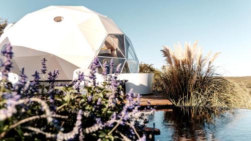 Fischer House | Breathtaking Dome with Spectacular Outdoor Living and Chic Elegant Interior in Texas