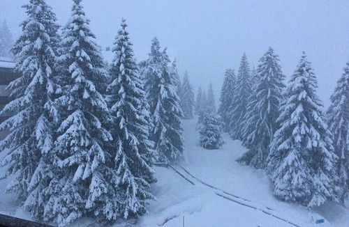 Eaux-Bonnes Apartment | Breathtaking view of the slopes and the valley- Apartment 6 pers.