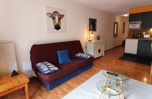 Vionnaz Apartment | Breathtaking view of the mountains