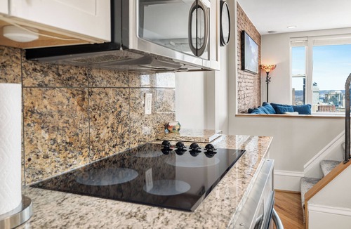 Mount Washington House | Breathtaking views of Pittsburgh from Mt. Washington! Rooftop deck + parking!