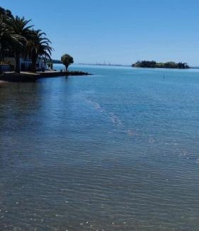 Parua Bay House | Breeze Inn