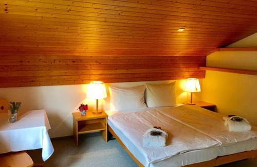 Tavanasa Apartment | Breil Apartment Sleeps 5 Pool WiFi