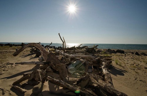 Pulaski Resort | Brennan Beach Lakeview Park Model 9