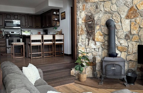 Lakeville Ski Chalet | Briar Hill North Lakefront Contemporary with Private Dock