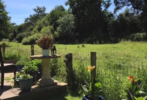 Midhurst House | Bridge Cottage