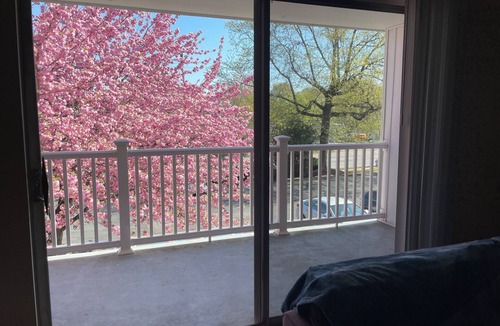 Foxcroft Square Apartment | Bright 2BR | Cherry Blossom View | Balcony
