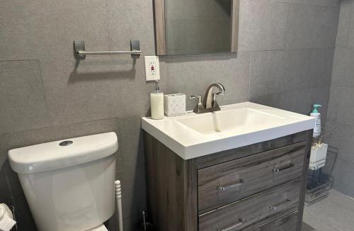 Albany Apartment | Bright & Airy 1 BDRM Private Apt