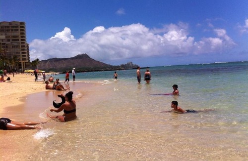 McCully - Moiliili Apartment | Bright Amazing View Walk Everywhere