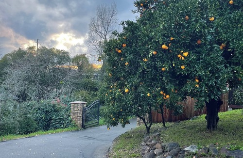 Newcastle House | Bright and modern 3 bedroom house in charming Newcastle