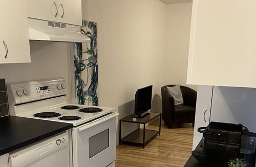 Trois-Rivieres Apartment | Bright apartment with balcony - CITQ311565