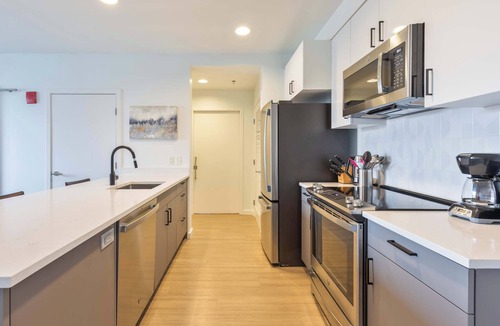 East Cambridge Apartment | Bright Apartment in the Heart of Cambridge, Walk Everywhere