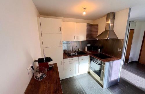 Coulmiers-Jardin des Plantes Apartment | Bright apartment with Terrace in Central Nantes