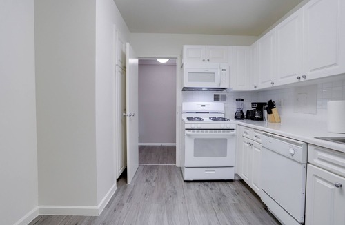 Crystal City Apartment | Bright Comfort in DC Apts