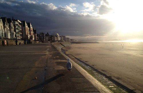 Courtoisville-Sillon-Moka Apartment | Bright duplex apartment near the sea