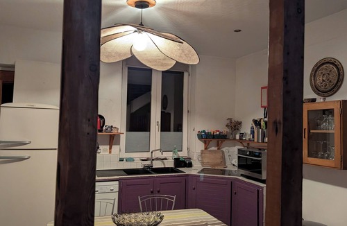 Vauban - Wazemmes Apartment | BRIGHT DUPLEX IN LILLE WAZEMMES