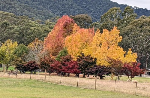 Freeburgh House | Bright Freeburgh Stays