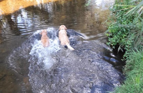 Freeburgh House | Bright Freeburgh Stays