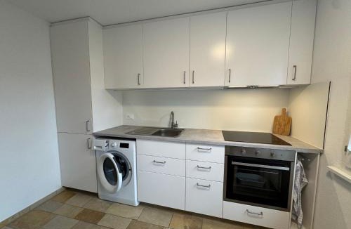 Wurenlos Apartment | Bright furnished Studio with workspace and garden area near Zurich