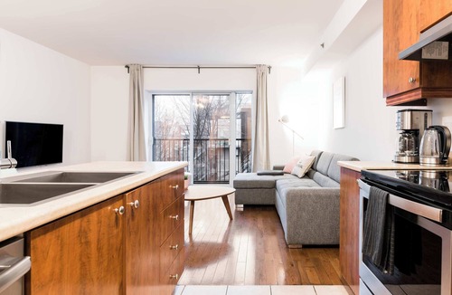 Hochelaga Apartment | Bright Loft HoMa 308 with Private Rooftop & AC