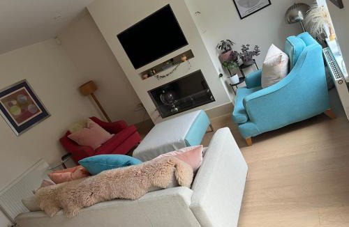 Bishops Waltham House | Bright, modern & close to historic town