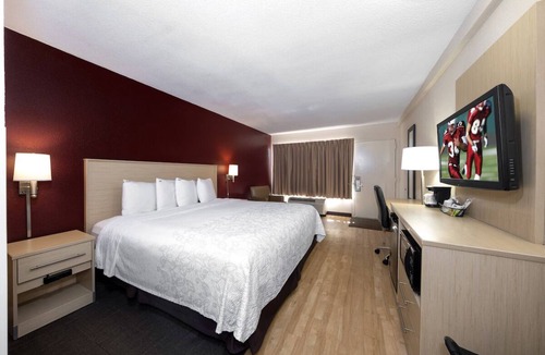 East Naples Hotel | Bright Pet-Friendly Room Near Downtown Naples – Relaxed and Welcoming