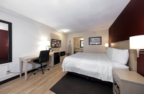 East Naples Hotel | Bright Pet-Friendly Room Near Downtown Naples – Relaxed and Welcoming
