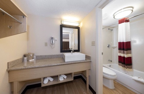 East Naples Hotel | Bright Pet-Friendly Room Near Downtown Naples – Relaxed and Welcoming