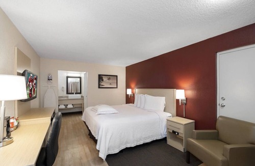 East Naples Hotel | Bright Pet-Friendly Room Near Downtown Naples – Relaxed and Welcoming