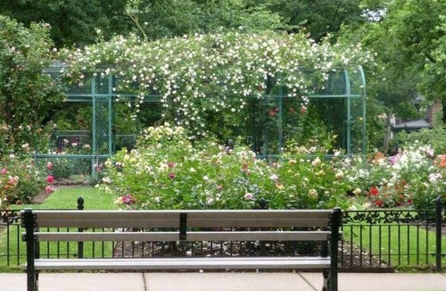 North Brookline Apartment | Bright Private Room BU MIT Longwood Harvard Med -3 Bed Apt- Grads Profes Doctors