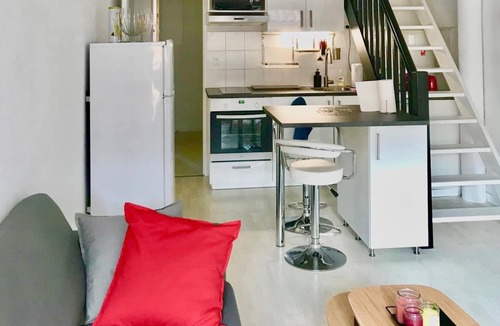 Capitole Apartment | Bright rooftop loft - Capitole/Daurade