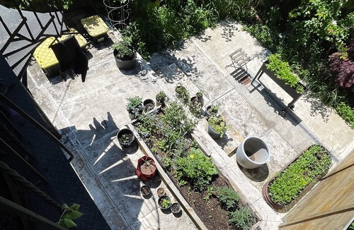 Bushwick House | Bright & Spacious Garden Apartment with workspace in Vibrant Bushwick + Parking!