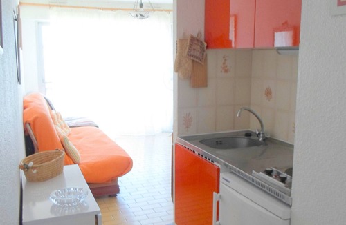 Balaruc-les-Bains Apartment | Bright studio with terrace and WIFI, pets allowed