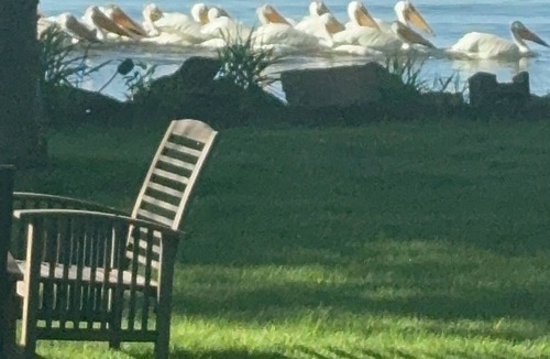 Fox Crossing Cottage | Brighton Beach Cottage on Lake Winnebago. Sandy bottom of the lake!