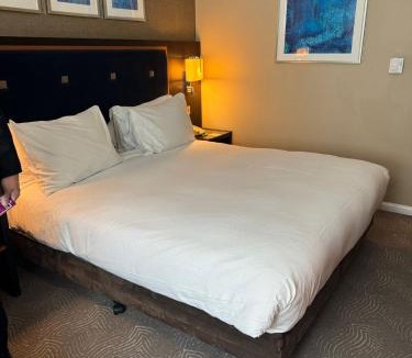 Cleveland Circle Hotel | Brighton place Hotel