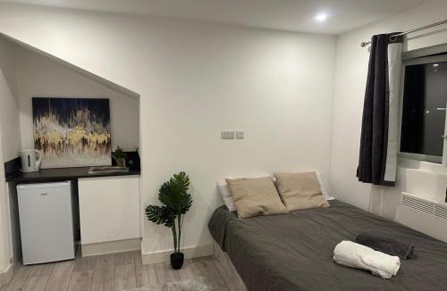 Bensham Manor Apartment | Brigstock 7