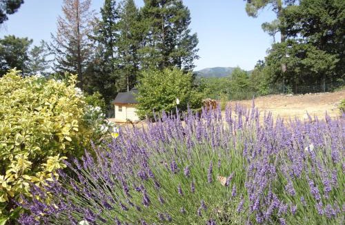 Lentilleres Bed & Breakfast | Brin d Ardèche