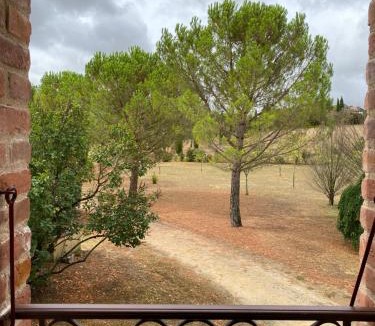 Fenols Bed & Breakfast | Brin de Cocagne