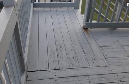 Crescent Beach House | (BRING PETS 1 BLOCK FROM the BEACH!)