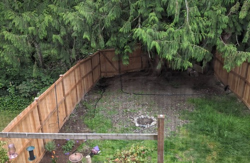 Mount Vernon House | Bring your dogs, too!