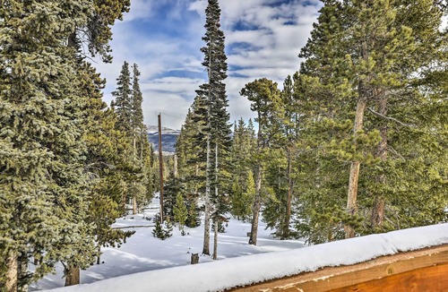 Valley of the Sun Cottage | 'bristle Cone' Fairplay Cabin w/Hot Tub