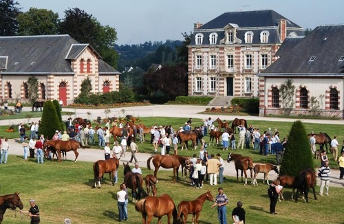 Saint-Lo Hotel | Brit Hotel Confort Saint-Lô