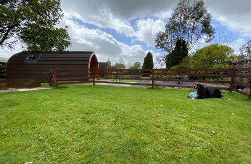 Horton in Ribblesdale Bed & Breakfast | Broad Croft House