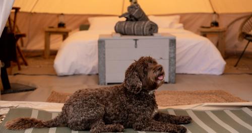 Hundall Other | Broadleaves Luxury Glamping