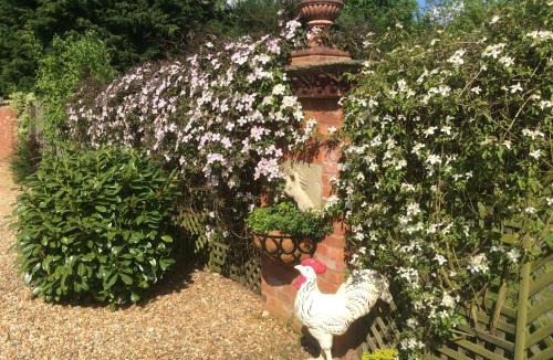 Manton House | Broccoli Bottom